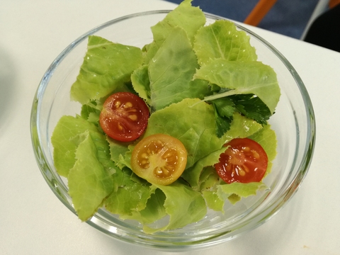 Salada da horta